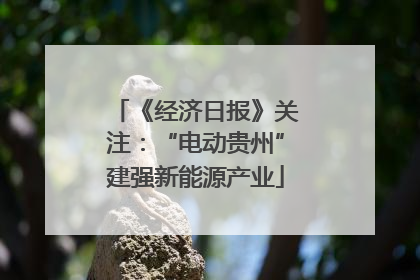 《经济日报》关注：“电动贵州”建强新能源产业