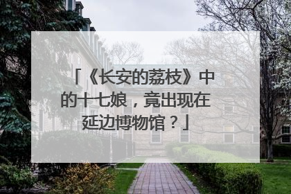 《长安的荔枝》中的十七娘，竟出现在延边博物馆？