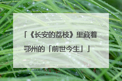 《长安的荔枝》里藏着鄂州的「前世今生」