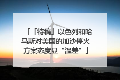 「特稿」以色列和哈马斯对美国的加沙停火方案态度显“温差”