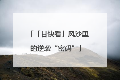 「甘快看」风沙里的逆袭“密码”
