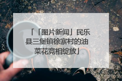 「图片新闻」民乐县三堡镇徐寨村的油菜花竞相绽放