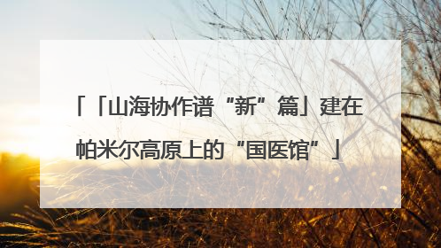 「山海协作谱“新”篇」建在帕米尔高原上的“国医馆”