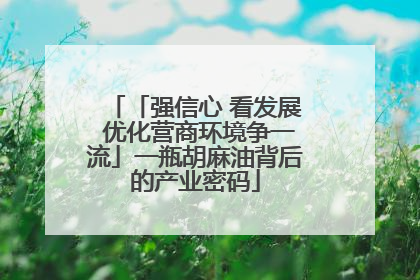 「强信心 看发展 优化营商环境争一流」一瓶胡麻油背后的产业密码