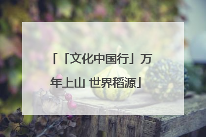 「文化中国行」万年上山 世界稻源