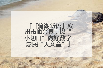 「蒲湖新语」滨州市博兴县：以“小切口”做好数字惠民“大文章”