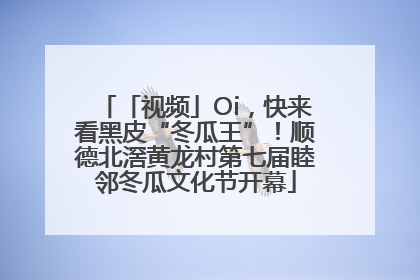 「视频」Oi，快来看黑皮“冬瓜王”！顺德北滘黄龙村第七届睦邻冬瓜文化节开幕