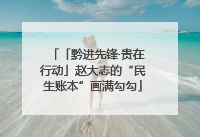 「黔进先锋·贵在行动」赵大志的“民生账本”画满勾勾
