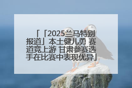 「2025兰马特别报道」本土健儿勇 赛道竞上游 甘肃参赛选手在比赛中表现优异