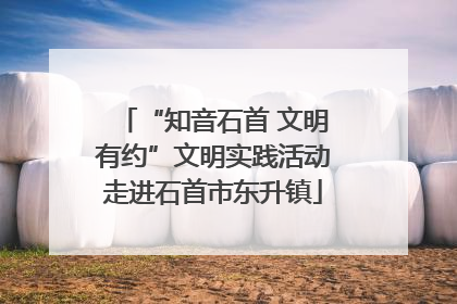 “知音石首 文明有约”文明实践活动走进石首市东升镇