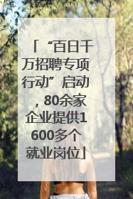 “百日千万招聘专项行动”启动，80余家企业提供1600多个就业岗位
