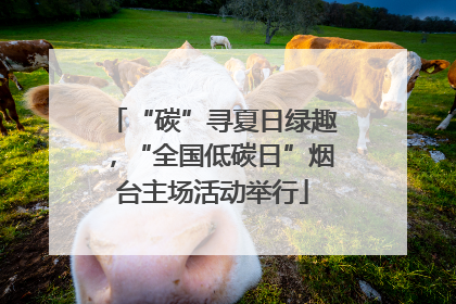 “碳”寻夏日绿趣，“全国低碳日”烟台主场活动举行
