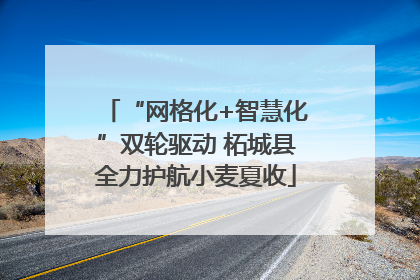 “网格化+智慧化”双轮驱动 柘城县全力护航小麦夏收