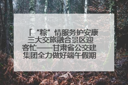 “粽”情服务护安康 三大交旅融合景区迎客忙——甘肃省公交建集团全力做好端午假期景区运营工作