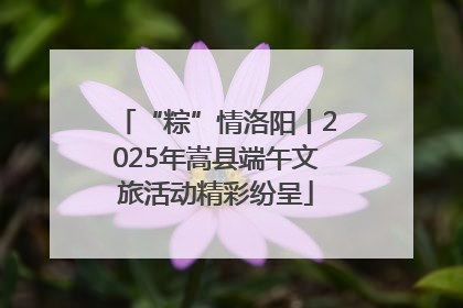 “粽”情洛阳丨2025年嵩县端午文旅活动精彩纷呈