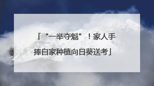“一举夺魁”！家人手捧自家种植向日葵送考