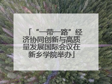 “一带一路”经济协同创新与高质量发展国际会议在新乡学院举办