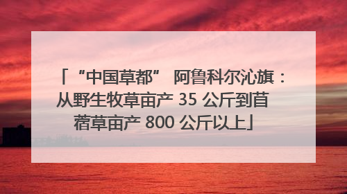 “中国草都” 阿鲁科尔沁旗：从野生牧草亩产 35 公斤到苜蓿草亩产 800 公斤以上