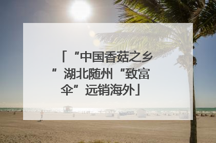 “中国香菇之乡”湖北随州“致富伞”远销海外