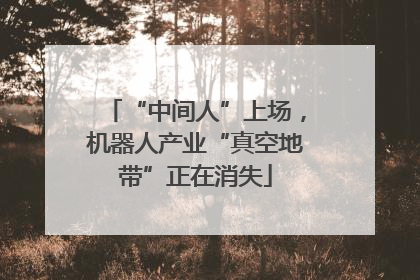 “中间人”上场，机器人产业“真空地带”正在消失
