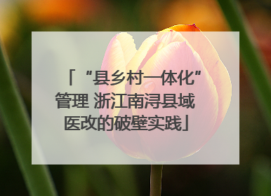“县乡村一体化”管理 浙江南浔县域医改的破壁实践