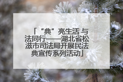 “典”亮生活 与法同行——湖北省松滋市司法局开展民法典宣传系列活动