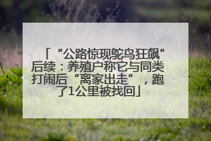 “公路惊现鸵鸟狂飙”后续：养殖户称它与同类打闹后“离家出走”，跑了1公里被找回