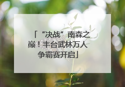 “决战”南森之巅！丰台武林万人争霸赛开启