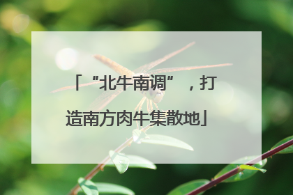 “北牛南调”，打造南方肉牛集散地