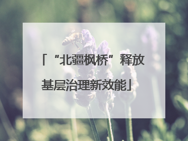 “北疆枫桥”释放基层治理新效能