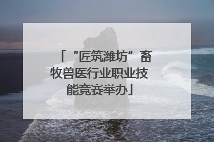 “匠筑潍坊”畜牧兽医行业职业技能竞赛举办