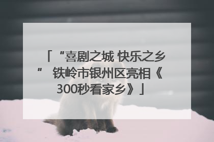 “喜剧之城 快乐之乡” 铁岭市银州区亮相《300秒看家乡》