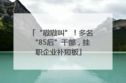 “嗷嗷叫”！多名“85后”干部，挂职企业补短板