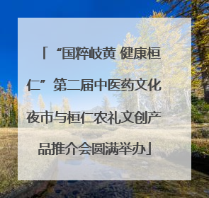 “国粹岐黄 健康桓仁”第二届中医药文化夜市与桓仁农礼文创产品推介会圆满举办