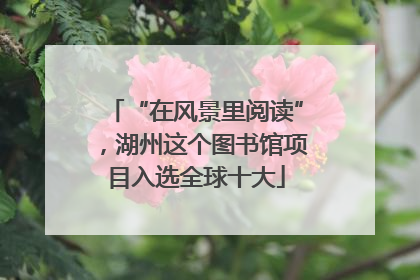 “在风景里阅读”，湖州这个图书馆项目入选全球十大