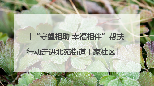 “守望相助 幸福相伴”帮扶行动走进北苑街道丁家社区
