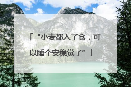 “小麦都入了仓，可以睡个安稳觉了”