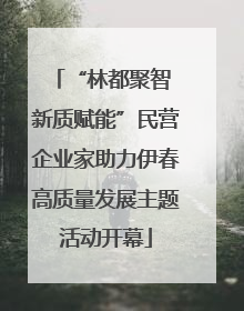 “林都聚智 新质赋能”民营企业家助力伊春高质量发展主题活动开幕