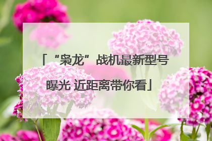“枭龙”战机最新型号曝光 近距离带你看