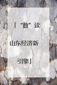 “数”读山东经济新引擎