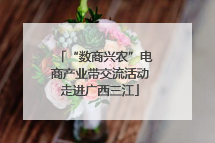 “数商兴农”电商产业带交流活动走进广西三江