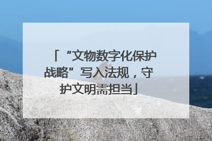 “文物数字化保护战略”写入法规，守护文明需担当