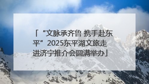 “文脉承齐鲁 携手赴东平”2025东平湖文旅走进济宁推介会圆满举办