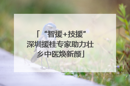 “智援+技援” 深圳援桂专家助力壮乡中医焕新颜