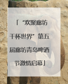 “欢聚廊坊 干杯世界”第五届廊坊青岛啤酒节激情启幕