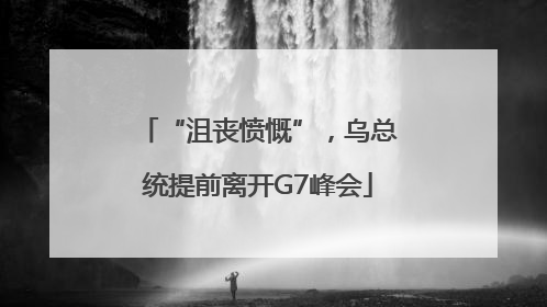 “沮丧愤慨”，乌总统提前离开G7峰会
