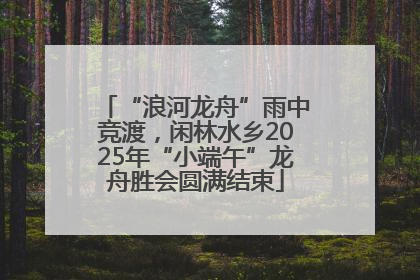 “浪河龙舟”雨中竞渡，闲林水乡2025年“小端午”龙舟胜会圆满结束