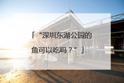 “深圳东湖公园的鱼可以吃吗？”