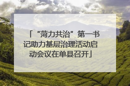 “菏力共治”第一书记助力基层治理活动启动会议在单县召开