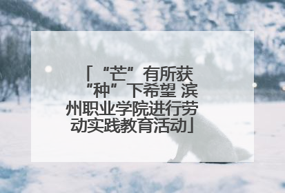 “芒”有所获 “种”下希望 滨州职业学院进行劳动实践教育活动